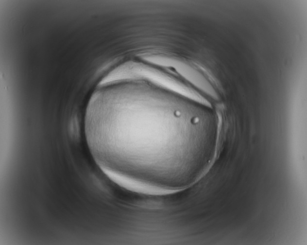 X0000085310110200703302031