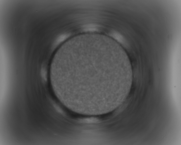 X0000085310112200703302031