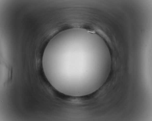 X0000085310113200703302031