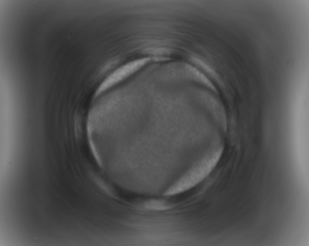 X0000085310114200703302031