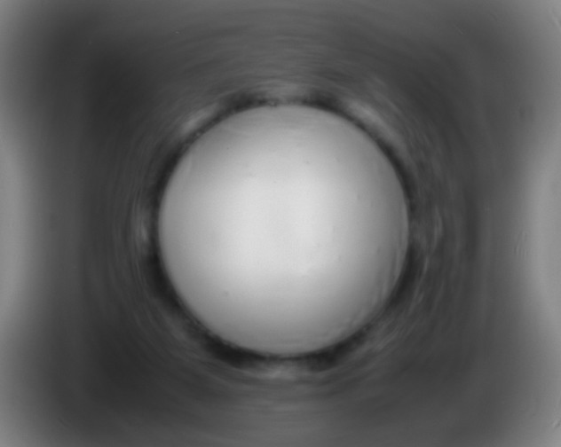 X0000085310115200703302031