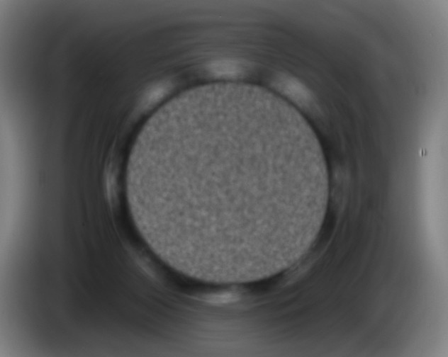 X0000085310116200703302031