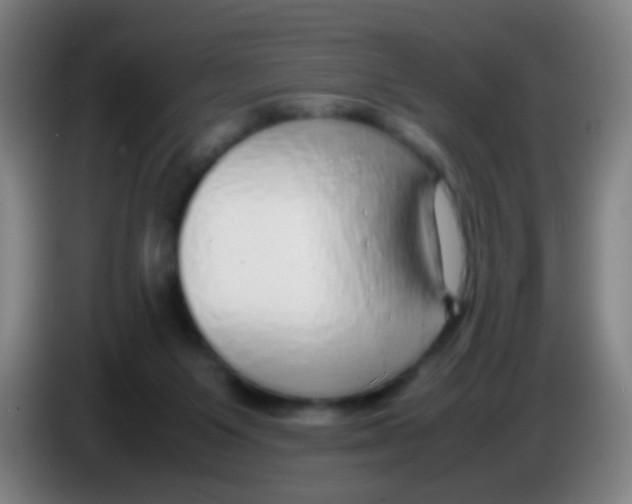 X0000085310119200703302031