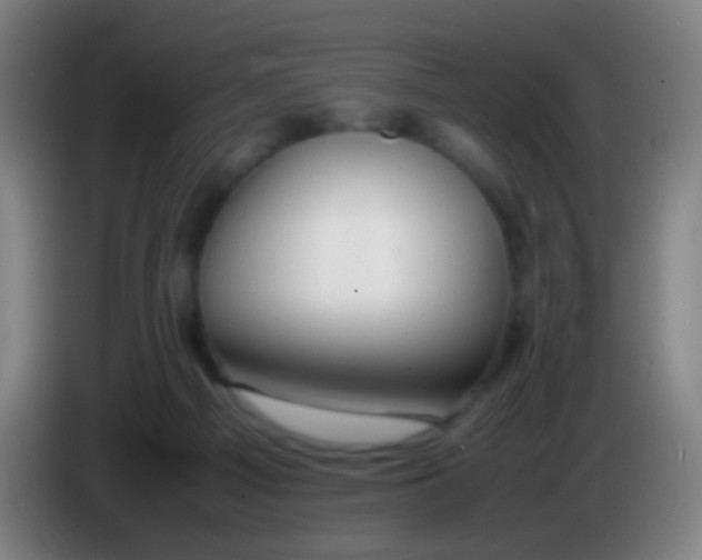 X0000085310121200703302031