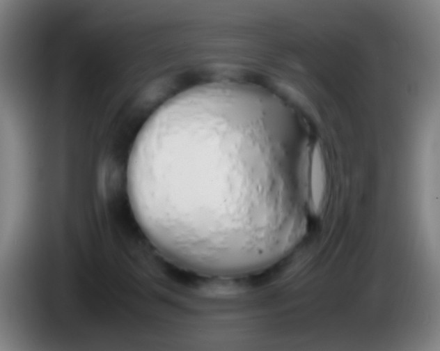 X0000085310123200703302031