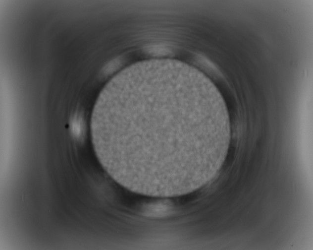 X0000085310124200703302031