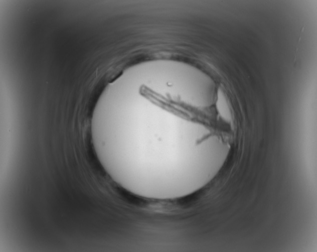 X0000085310125200703302031