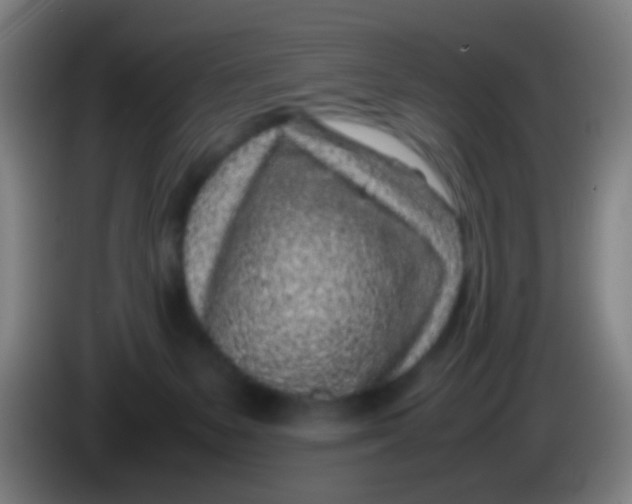 X0000085310127200703302031