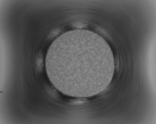 X0000085310128200703302031