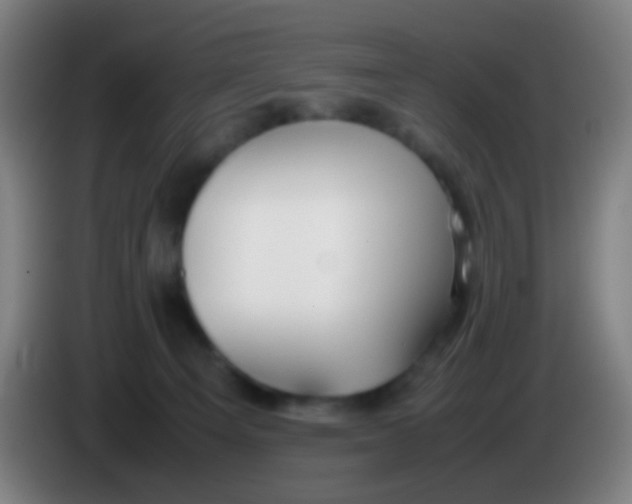 X0000085310129200703302031