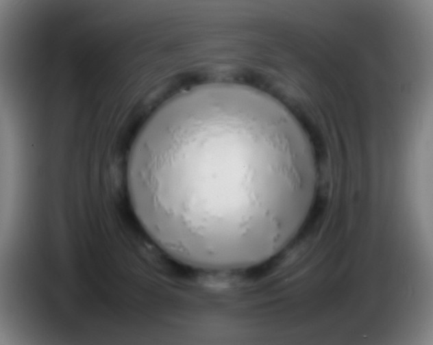 X0000085310131200703302031