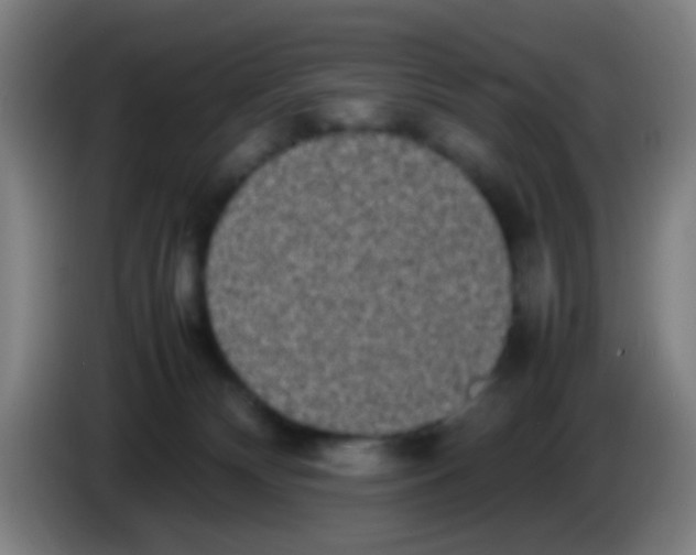 X0000085310132200703302031