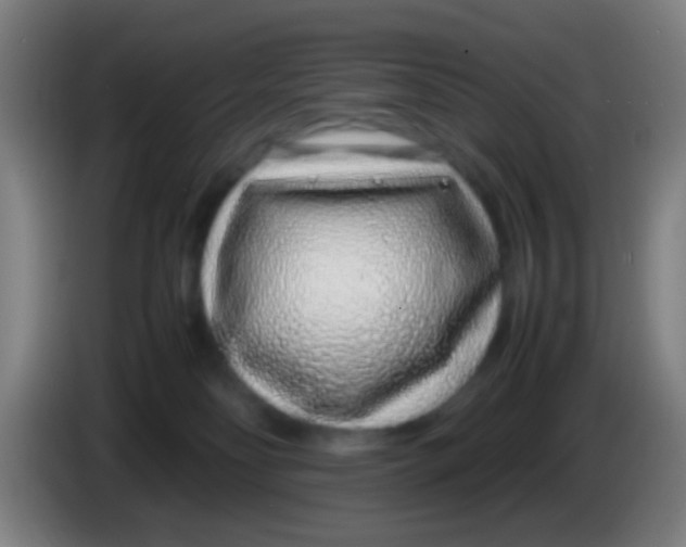 X0000085310134200703302031