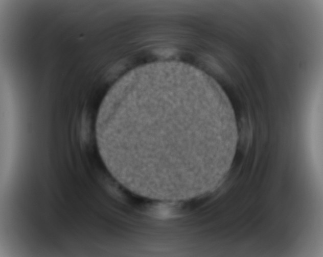 X0000085310136200703302031