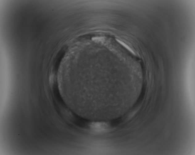 X0000085310137200703302031