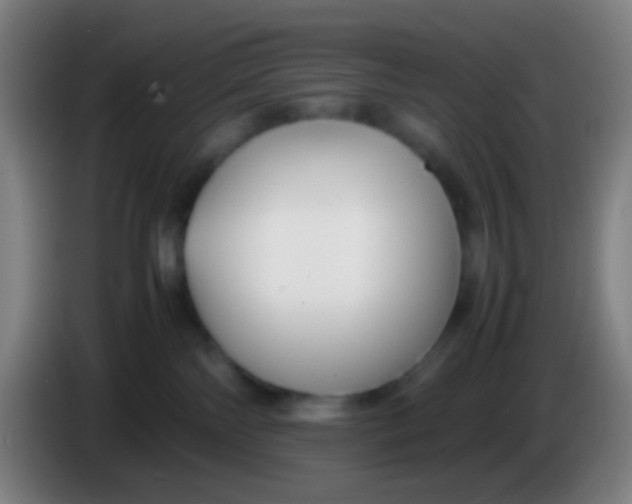 X0000085310138200703302031