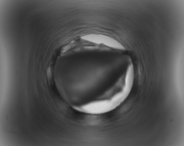 X0000085310139200703302031