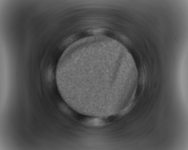 X0000085310140200703302031