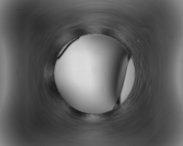 X0000085310141200703302031