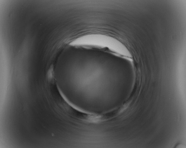 X0000085310143200703302031