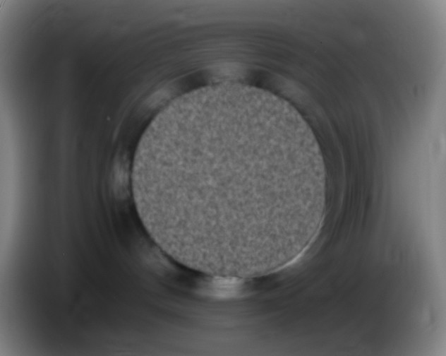 X0000085310144200703302030