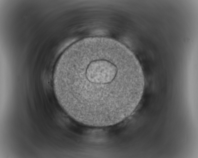 X0000085310146200703302030