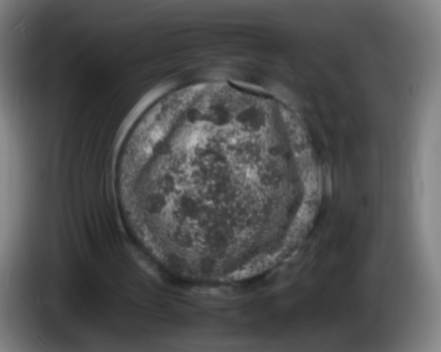 X0000085310147200703302030