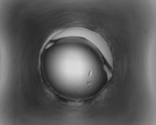 X0000085310148200703302030