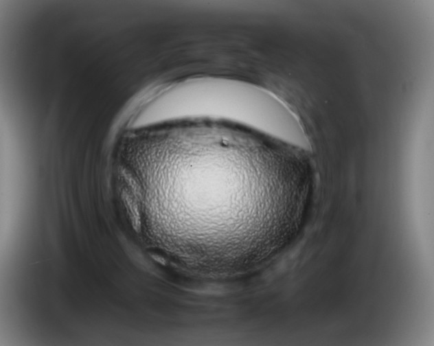 X0000085310149200703302030