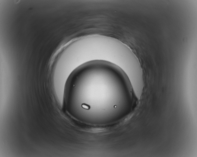 X0000085310150200703302030