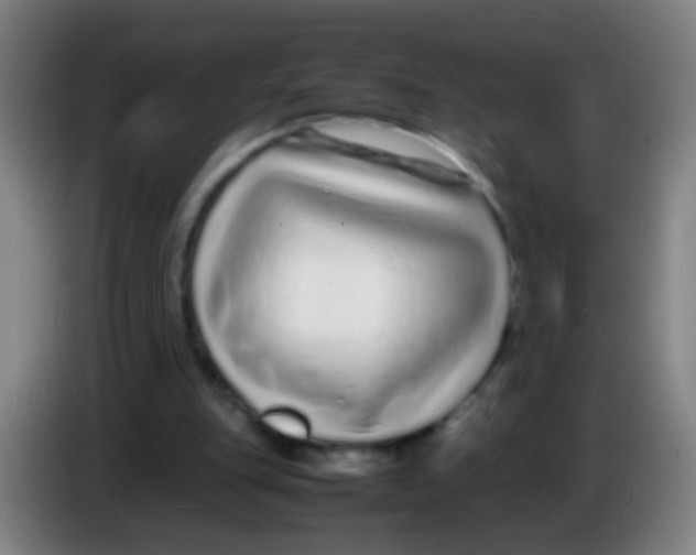 X0000085310151200703302030