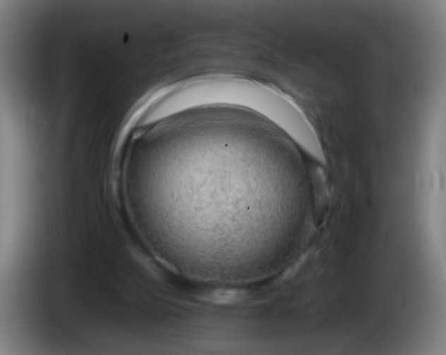 X0000085310152200703302030