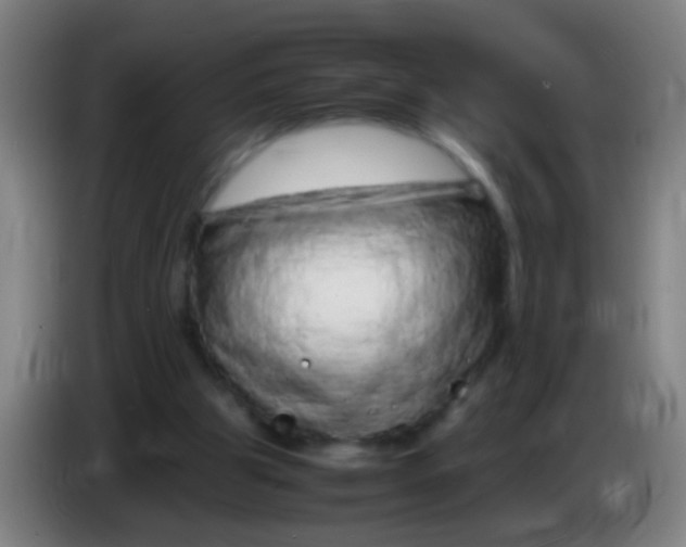 X0000085310153200703302030