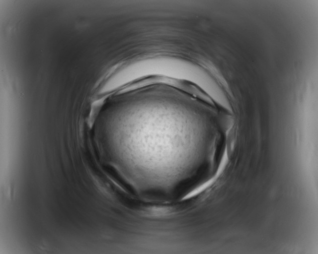 X0000085310154200703302030