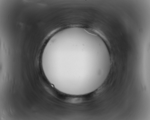 X0000085310155200703302030