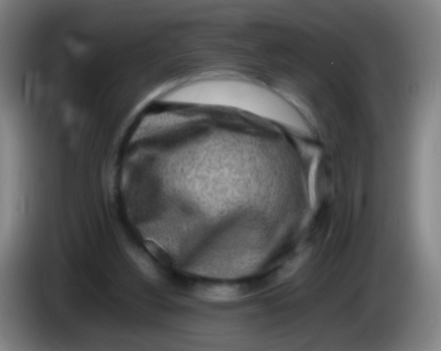 X0000085310156200703302030