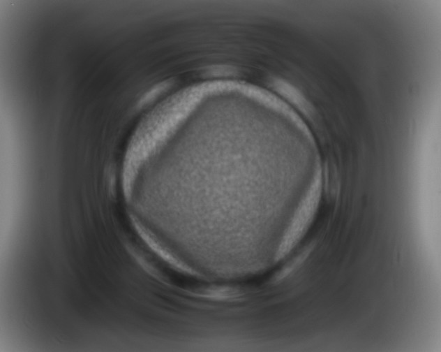 X0000085310157200703302030