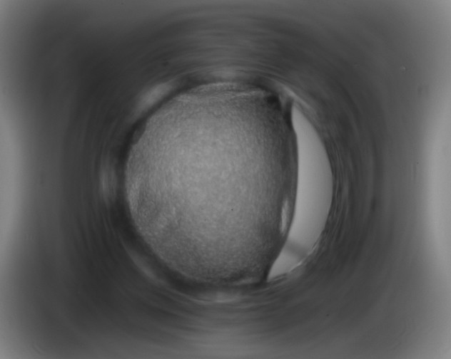 X0000085310158200703302030