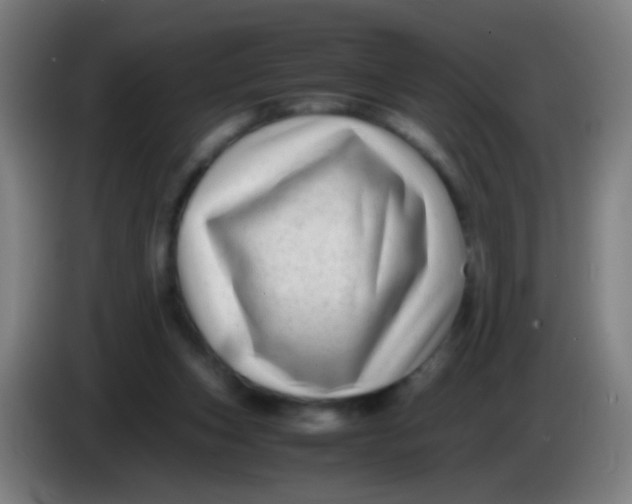 X0000085310159200703302030