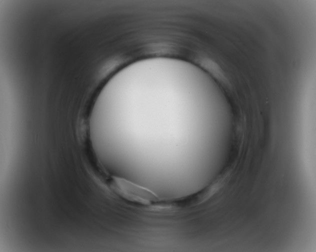 X0000085310160200703302030