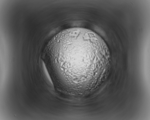 X0000085310161200703302030