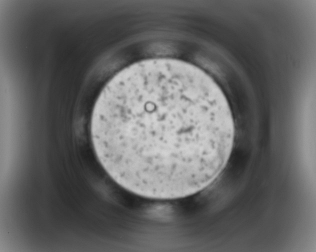 X0000085310162200703302030