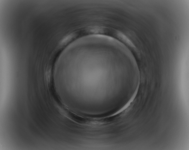 X0000085310163200703302030