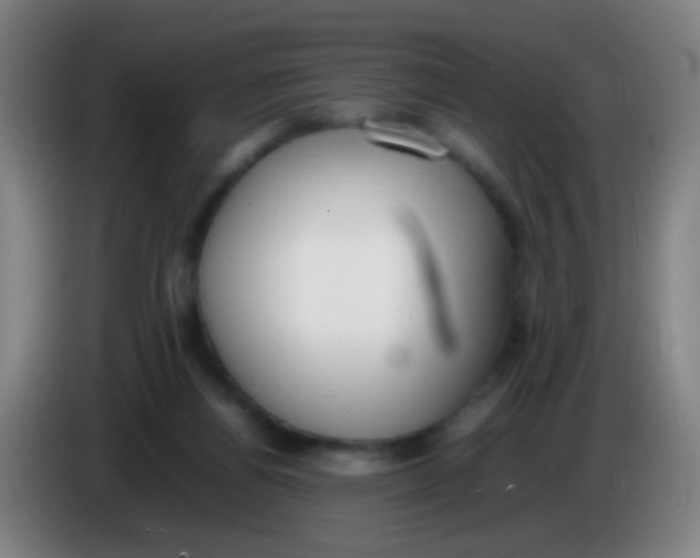 X0000085310164200703302030