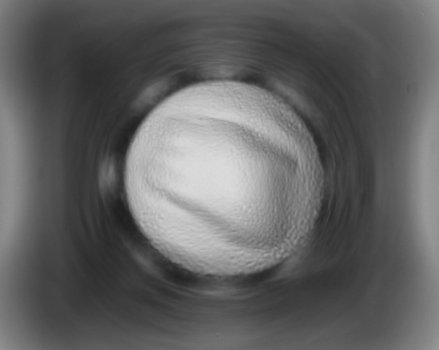 X0000085310166200703302030