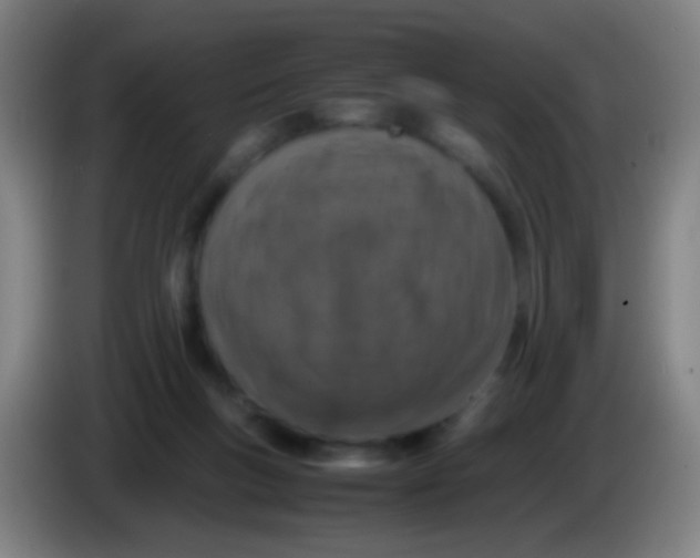 X0000085310167200703302030