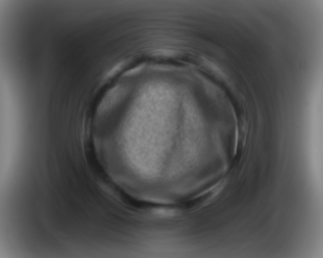 X0000085310168200703302030