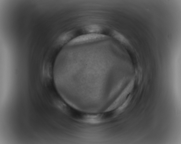 X0000085310170200703302030