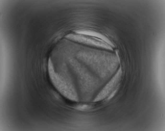 X0000085310174200703302030