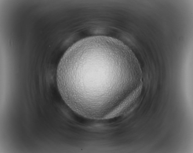 X0000085310175200703302030